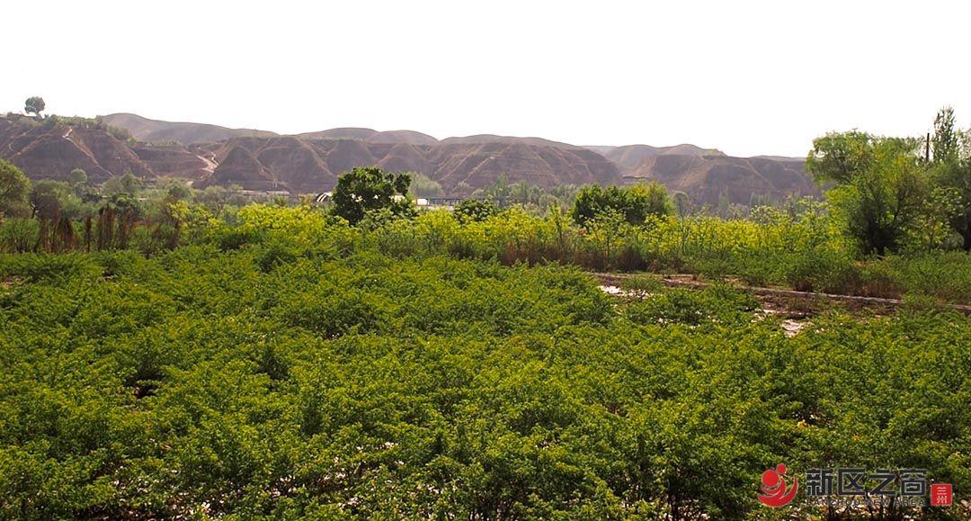 永登苦水猪驮山丹霞风景
