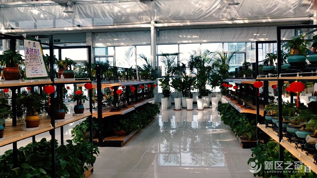 在一月的兰州新区发现春天