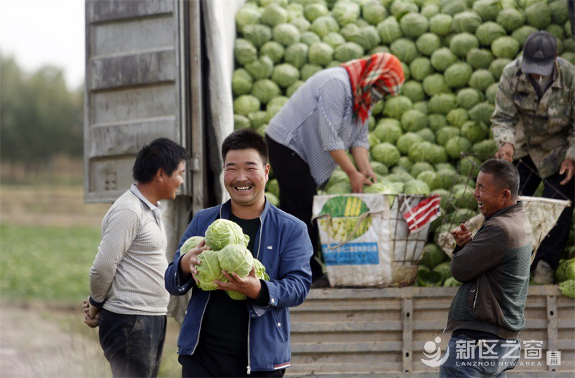 丰收节，新昌村 (1).JPG
