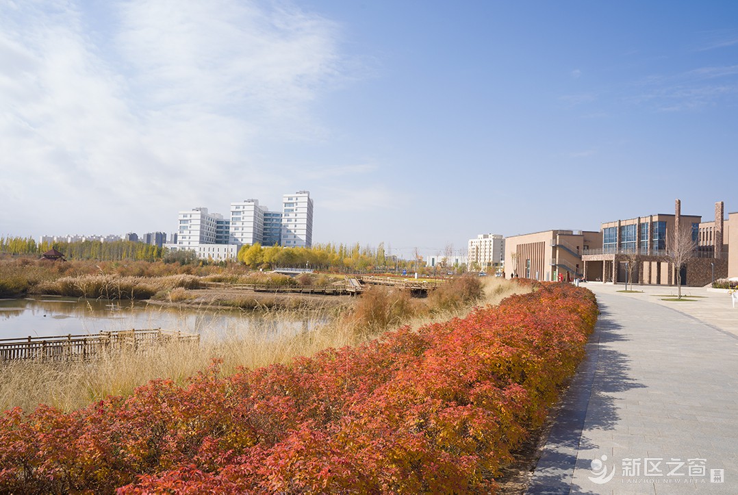 秦王川湿地公园（二）