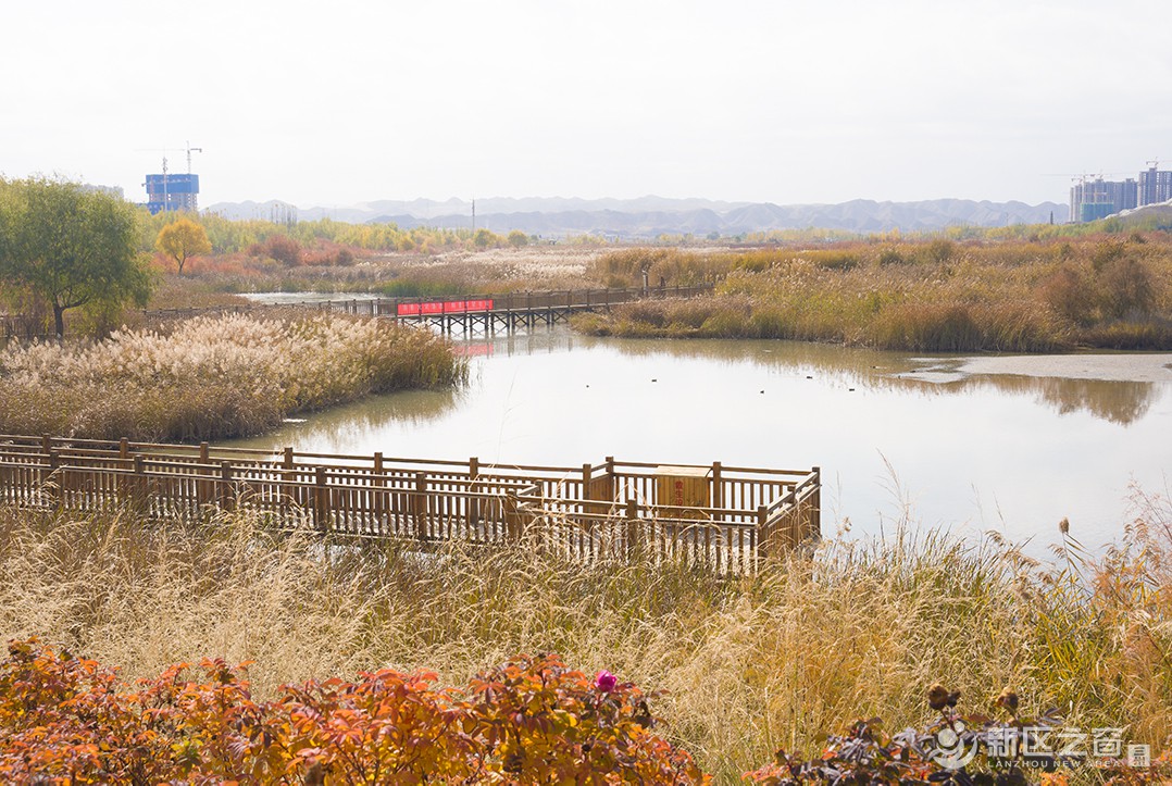 秦王川湿地公园（二）