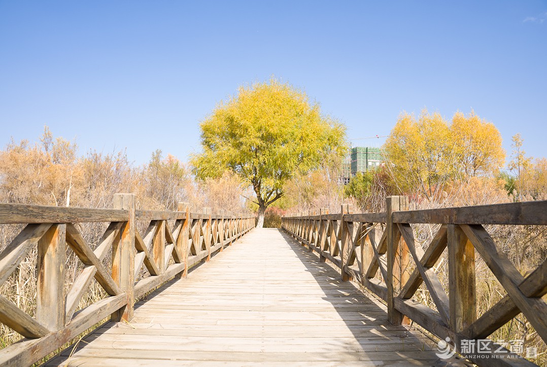 秦王川湿地公园（二）
