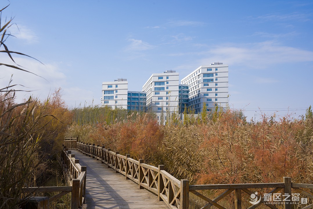 秦王川湿地公园（三）