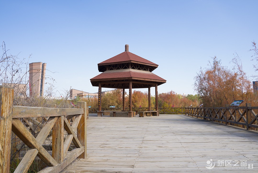 秦王川湿地公园（三）