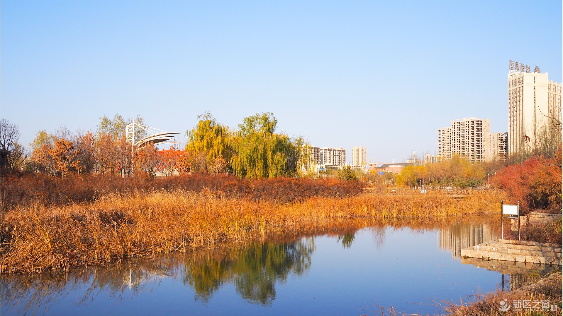 兰州新区研学采摘康养嗨购受游客欢迎