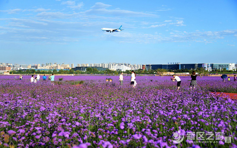 兰州新区商文旅局荣获“2021甘肃文旅新秀奖”
