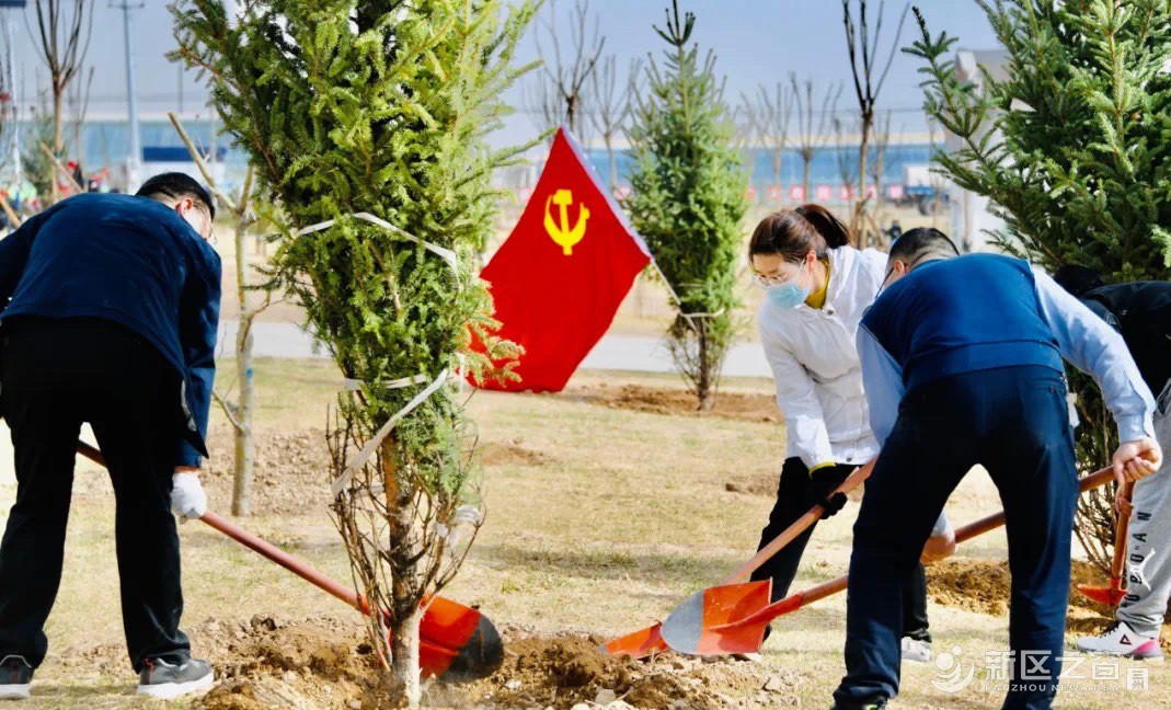 不负好春光 新区植树忙