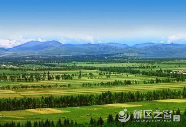 兰州新区北部拟造林10万亩