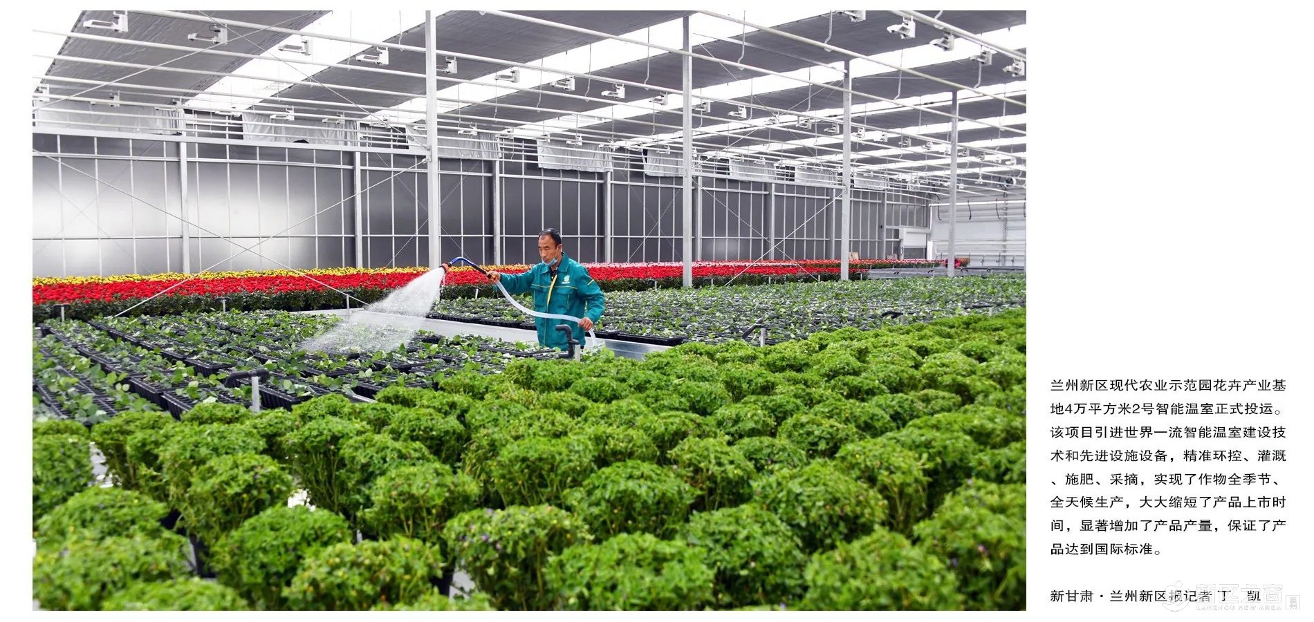 “强省会”加速向未来——兰州新区发展即景