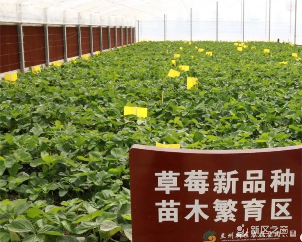 通过验收，获评优秀!