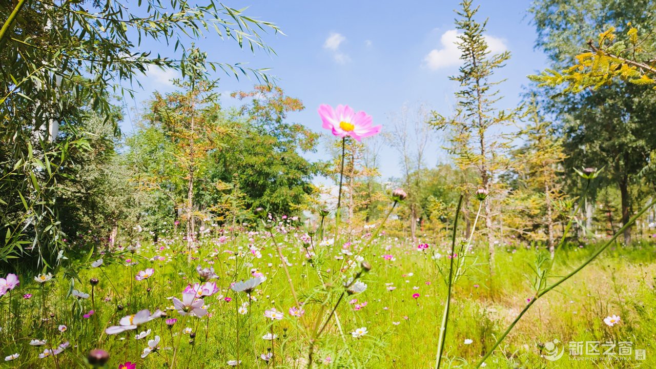 秦王川国家湿地公园