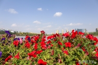 甘肃新车挂牌不要“居住证”了