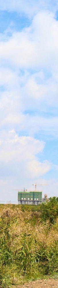 兰州新区秦王川湿地公园（二）