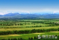 兰州新区北部拟造林10万亩