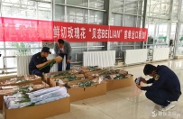 新区玫瑰出口了！