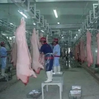 新区百万头生猪屠宰加工项目将于8月底建成试运营