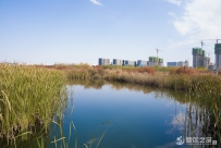 秦王川湿地公园（三）