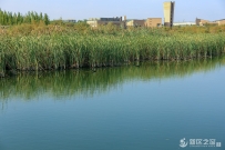 兰州新区农村公路通达率达100%