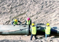 新区扎实推进春耕生产供水保障工作