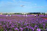 兰州新区中川园区在甘肃城乡治理创新实验区中期评估中名列榜首