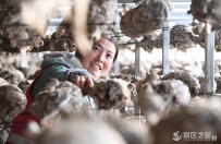 兰州新区产业工人的春天