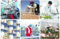 撸起袖子加油干 开足马力抓生产