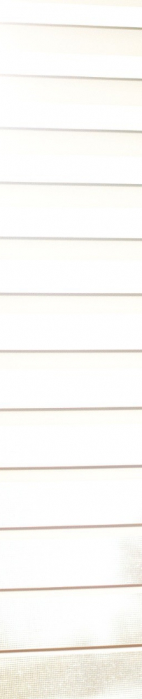 新区综保区产品首次进入英国市场