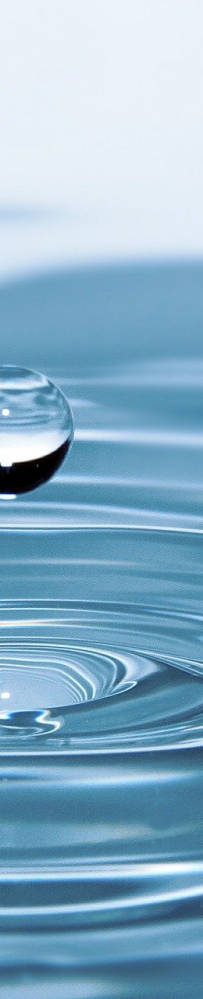 “安全供水 健康饮水”水系统发展战略论坛在我市举办