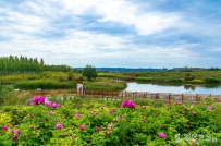 精心“布景” 兰州新区现代化生态新城初具雏形