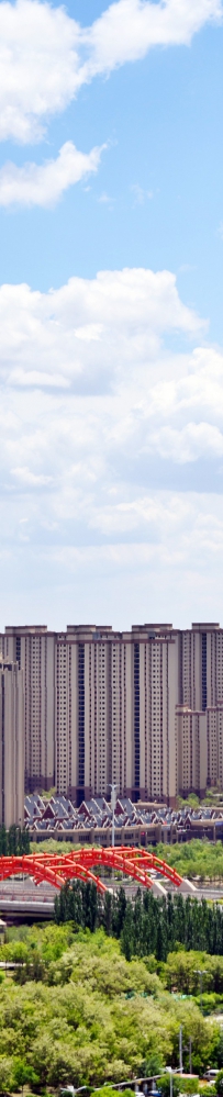 新区召开招商引资项目推进会 王洋出席并讲话