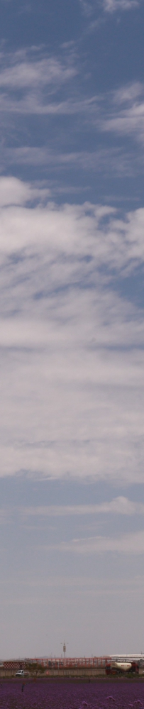 中川机场举办主题宣传活动