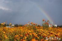 工作干得更实 发展质量更高