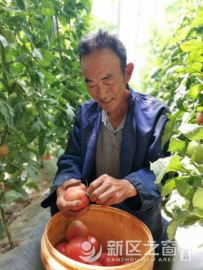 蔬菜大棚奏响致富“新曲”