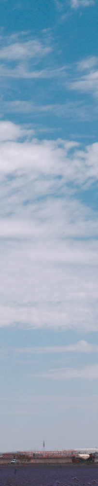 市领导调研中川国际机场三期扩建项目