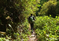 甘肃开通涉诉中小微企业疫情防控期间“绿色通道”