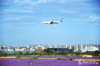 兰州新区上半年GDP增长20.1%！ 主要经济指标持续领跑国家...