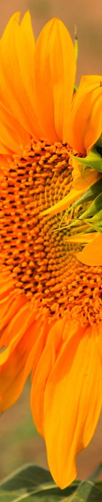 兰州新区秦王川湿地公园（一）