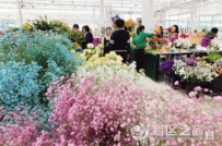 兰州新区花卉产业成为乡村振兴的“源头活水”