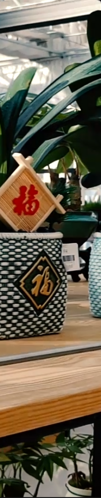 确保高质量高效按期完成全年既定施工目标 农投集团掀起...