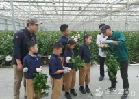 “童”享新区！央视《快乐童行》栏目组来啦