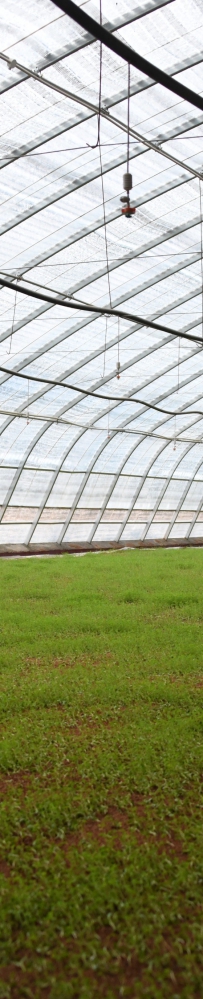 二〇二一“甘味”特色农产品贸易洽谈会在兰举行