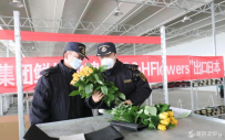 “鲜花经济”越开越旺，兰州新区鲜花首次出口日本