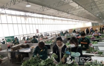 兰州新区跑出加速度跃升区域经济新增长极