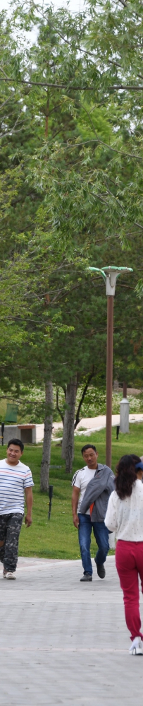 新区召开防汛减灾工作会议 孙敏出席