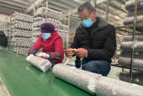 兰州新区：发展小蘑菇，做成大产业