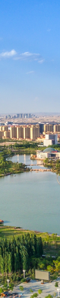 新区出台全面推行林长制实施方案